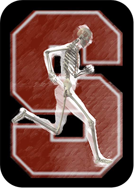 BioMotion Lab logo
